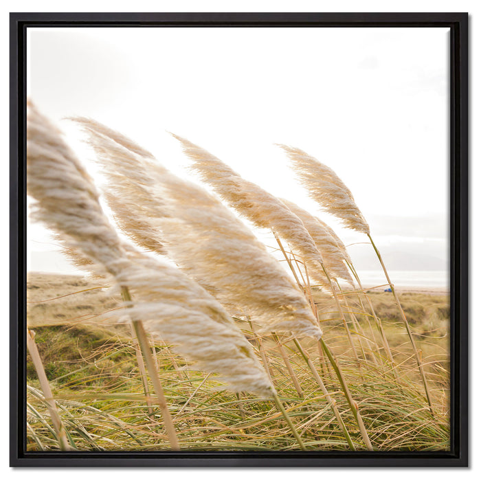 Schönes Schilf in den Dünen auf Leinwandbild Quadratisch gerahmt Größe 60x60