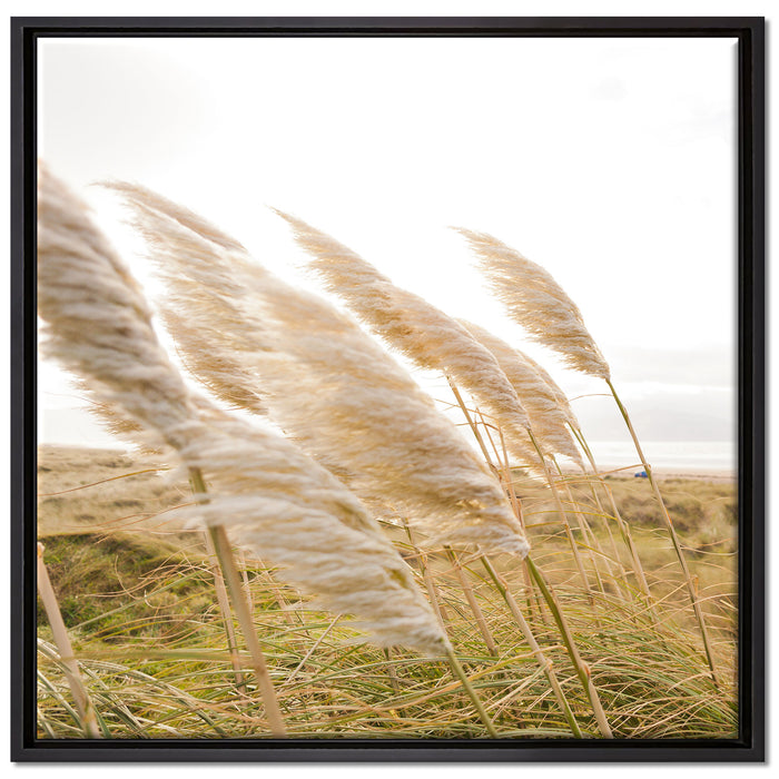 Schönes Schilf in den Dünen auf Leinwandbild Quadratisch gerahmt Größe 70x70