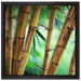 Alter Bambus Wald auf Leinwandbild Quadratisch gerahmt Größe 40x40