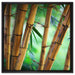 Alter Bambus Wald auf Leinwandbild Quadratisch gerahmt Größe 60x60