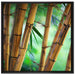 Alter Bambus Wald auf Leinwandbild Quadratisch gerahmt Größe 70x70