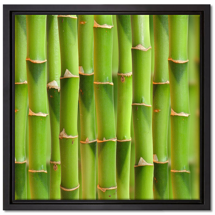 Grüner frischer Bambus auf Leinwandbild Quadratisch gerahmt Größe 40x40