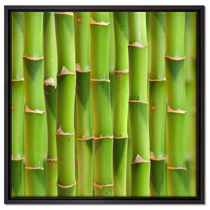 Grüner frischer Bambus auf Leinwandbild Quadratisch gerahmt Größe 60x60