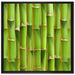 Grüner frischer Bambus auf Leinwandbild Quadratisch gerahmt Größe 70x70