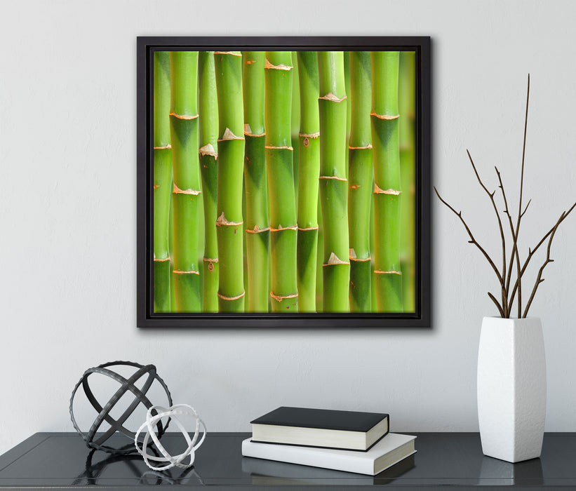 Grüner frischer Bambus  auf Leinwandbild Quadratisch gerahmt mit Kirschblüten