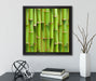 Grüner frischer Bambus  auf Leinwandbild Quadratisch gerahmt mit Kirschblüten