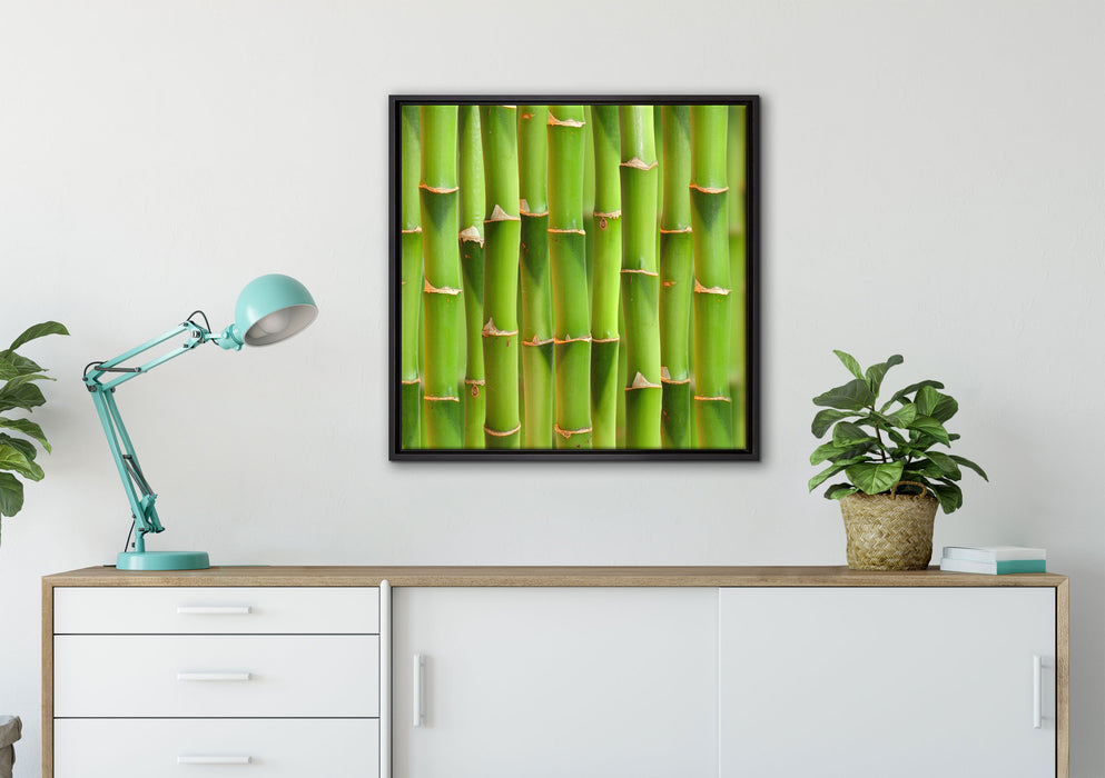Grüner frischer Bambus auf Leinwandbild gerahmt Quadratisch verschiedene Größen im Wohnzimmer