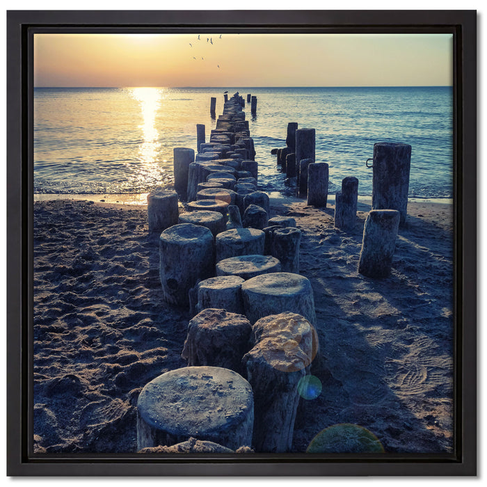 Baumstümpfe am Meer auf Leinwandbild Quadratisch gerahmt Größe 40x40