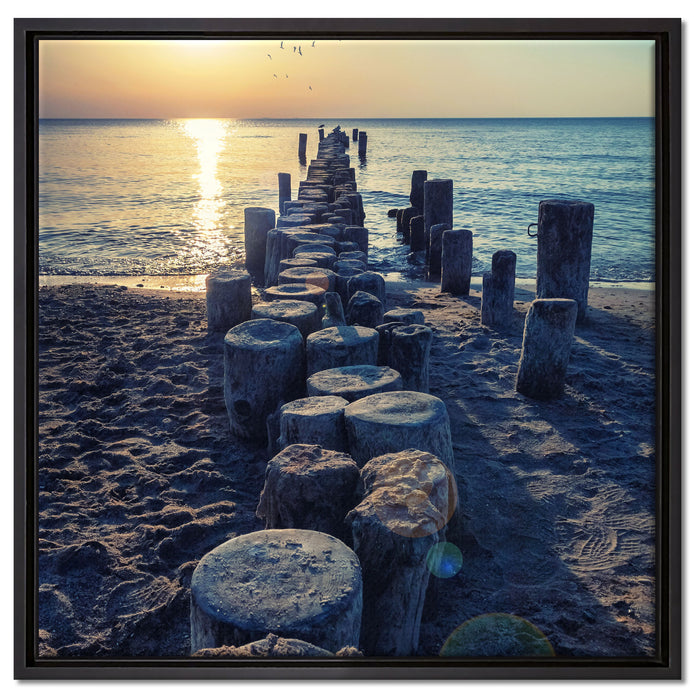 Baumstümpfe am Meer auf Leinwandbild Quadratisch gerahmt Größe 60x60