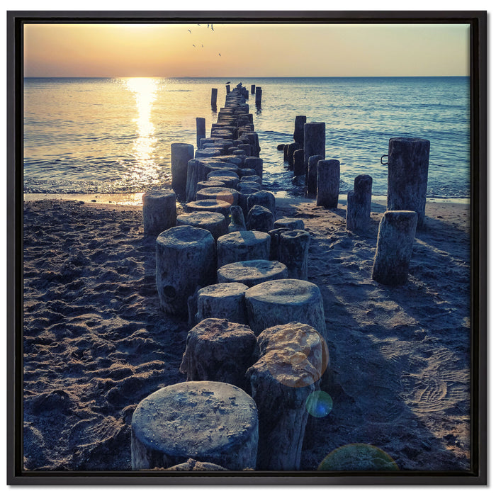 Baumstümpfe am Meer auf Leinwandbild Quadratisch gerahmt Größe 70x70
