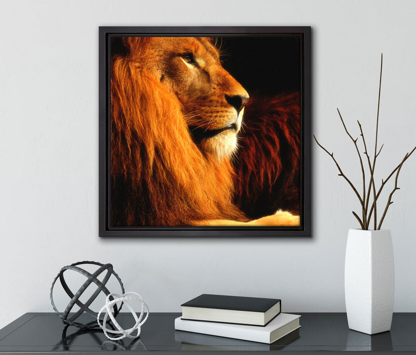 Majestätischer stolzer Löwe  auf Leinwandbild Quadratisch gerahmt mit Kirschblüten