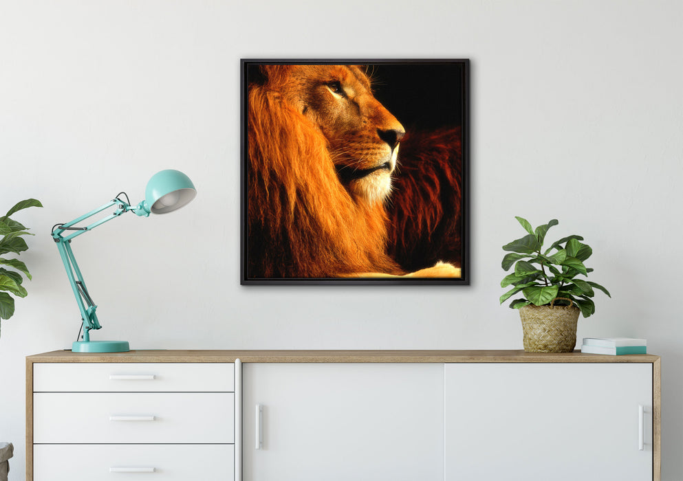Majestätischer stolzer Löwe auf Leinwandbild gerahmt Quadratisch verschiedene Größen im Wohnzimmer