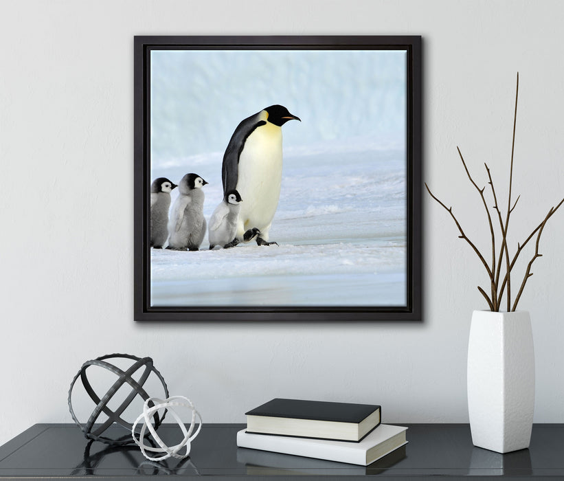Kaiserpinguine im Schnee  auf Leinwandbild Quadratisch gerahmt mit Kirschblüten