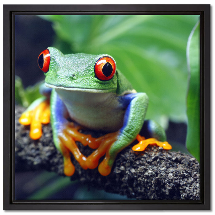 Rotaugenlaubfrosch auf Ast auf Leinwandbild Quadratisch gerahmt Größe 40x40