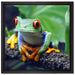 Rotaugenlaubfrosch auf Ast auf Leinwandbild Quadratisch gerahmt Größe 40x40