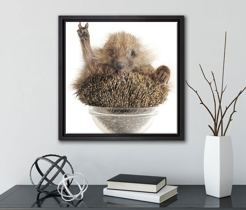 Igel in einer Schüssel Peace  auf Leinwandbild Quadratisch gerahmt mit Kirschblüten
