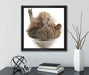 Igel in einer Schüssel Peace  auf Leinwandbild Quadratisch gerahmt mit Kirschblüten