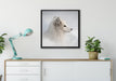 Anmutiger Polarfuchs im Schnee auf Leinwandbild gerahmt Quadratisch verschiedene Größen im Wohnzimmer
