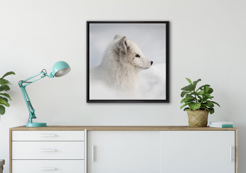 Anmutiger Polarfuchs im Schnee auf Leinwandbild gerahmt Quadratisch verschiedene Größen im Wohnzimmer