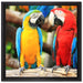 Zwei Papageien auf einem Ast auf Leinwandbild Quadratisch gerahmt Größe 40x40