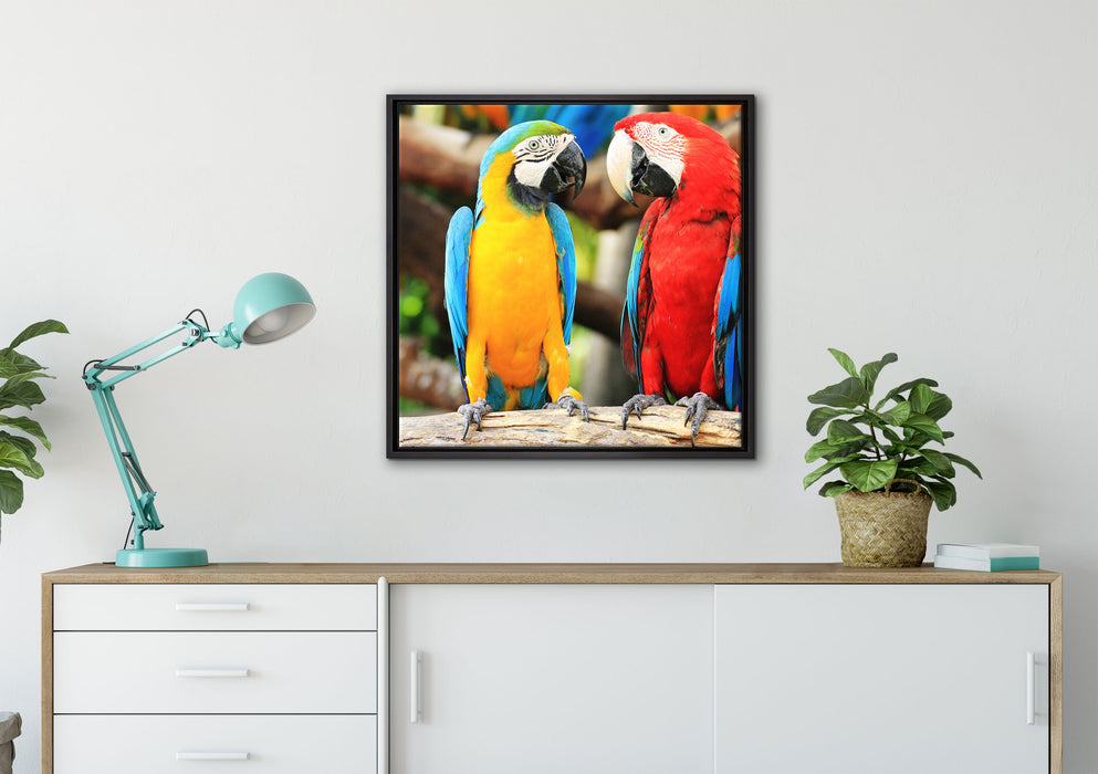 Zwei Papageien auf einem Ast auf Leinwandbild gerahmt Quadratisch verschiedene Größen im Wohnzimmer