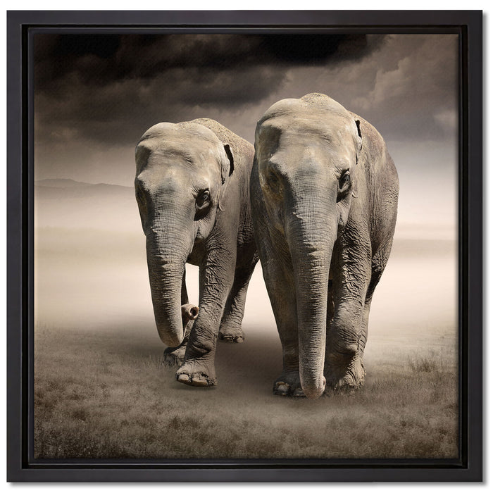 Zwei Elefanten in Steppe auf Leinwandbild Quadratisch gerahmt Größe 40x40
