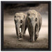 Zwei Elefanten in Steppe auf Leinwandbild Quadratisch gerahmt Größe 40x40
