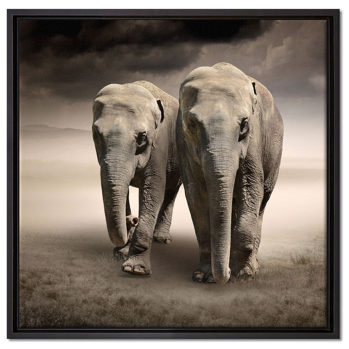 Zwei Elefanten in Steppe auf Leinwandbild Quadratisch gerahmt Größe 60x60