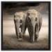 Zwei Elefanten in Steppe auf Leinwandbild Quadratisch gerahmt Größe 60x60