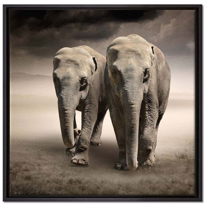 Zwei Elefanten in Steppe auf Leinwandbild Quadratisch gerahmt Größe 70x70