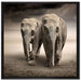 Zwei Elefanten in Steppe auf Leinwandbild Quadratisch gerahmt Größe 70x70