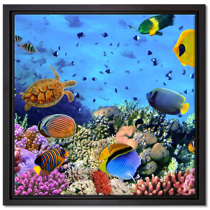 Fische über Korallenriff auf Leinwandbild Quadratisch gerahmt Größe 40x40