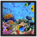Fische über Korallenriff auf Leinwandbild Quadratisch gerahmt Größe 40x40