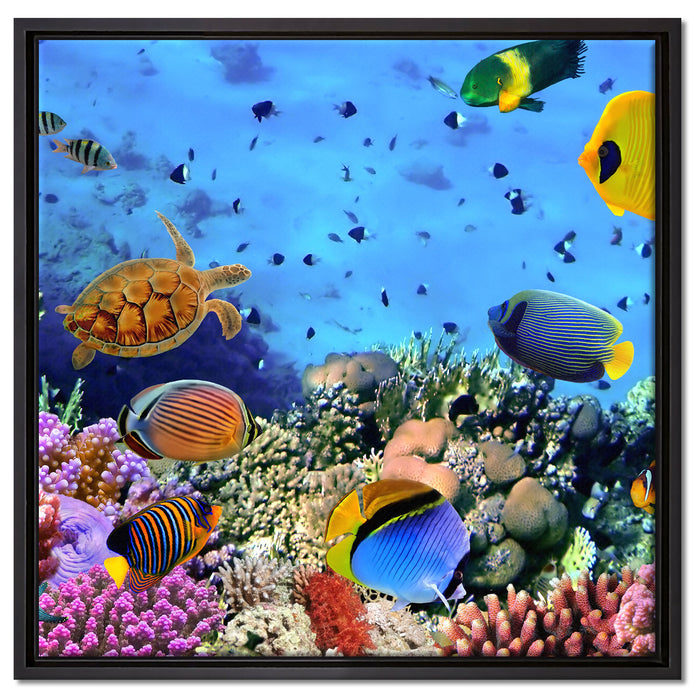 Fische über Korallenriff auf Leinwandbild Quadratisch gerahmt Größe 60x60