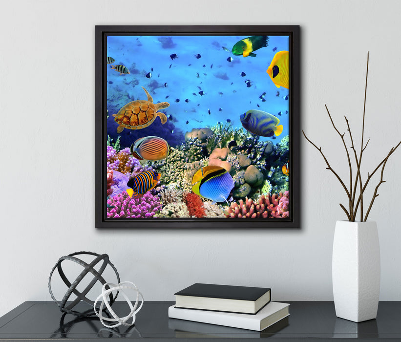 Fische über Korallenriff  auf Leinwandbild Quadratisch gerahmt mit Kirschblüten