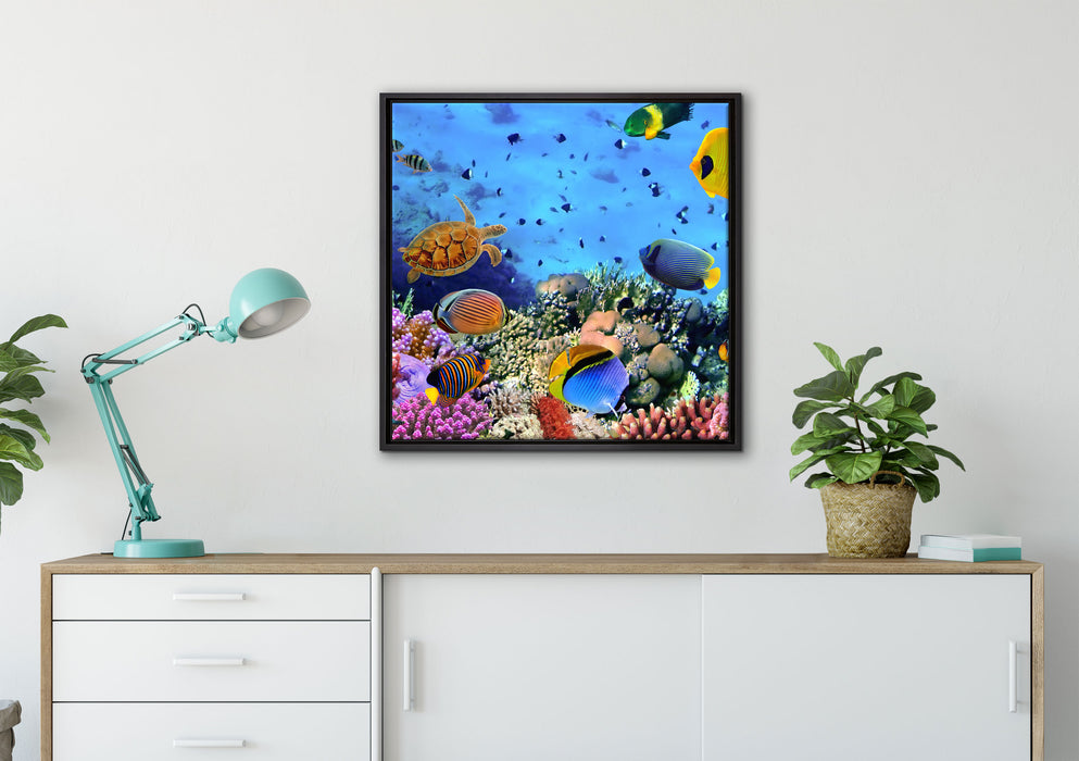 Fische über Korallenriff auf Leinwandbild gerahmt Quadratisch verschiedene Größen im Wohnzimmer