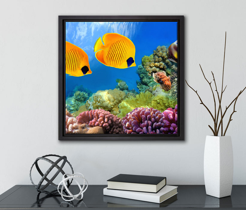 Fische Korallenriff  auf Leinwandbild Quadratisch gerahmt mit Kirschblüten