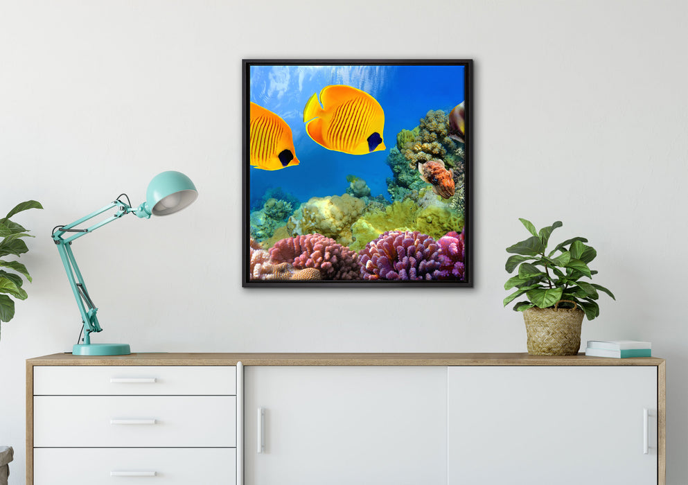 Fische Korallenriff auf Leinwandbild gerahmt Quadratisch verschiedene Größen im Wohnzimmer
