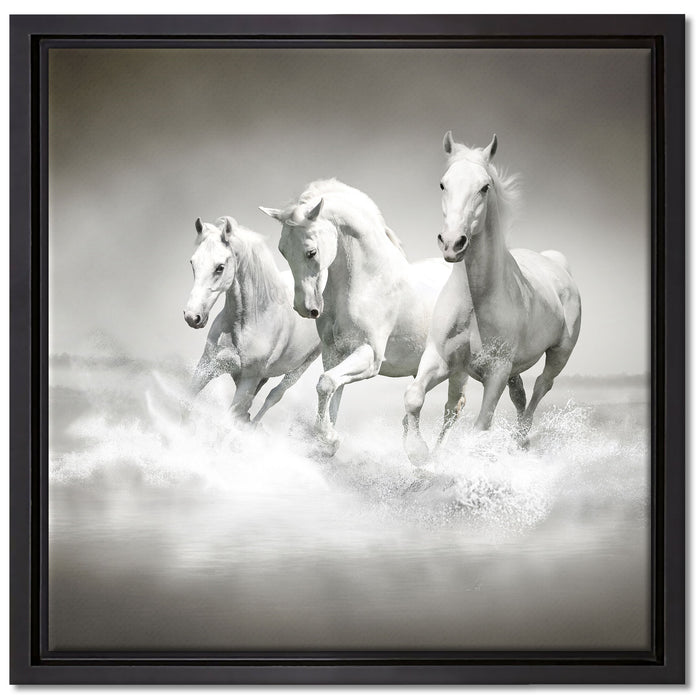 Pferde rennen im Wasser auf Leinwandbild Quadratisch gerahmt Größe 40x40
