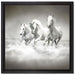 Pferde rennen im Wasser auf Leinwandbild Quadratisch gerahmt Größe 40x40