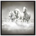 Pferde rennen im Wasser auf Leinwandbild Quadratisch gerahmt Größe 70x70
