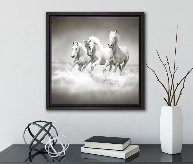 Pferde rennen im Wasser  auf Leinwandbild Quadratisch gerahmt mit Kirschblüten