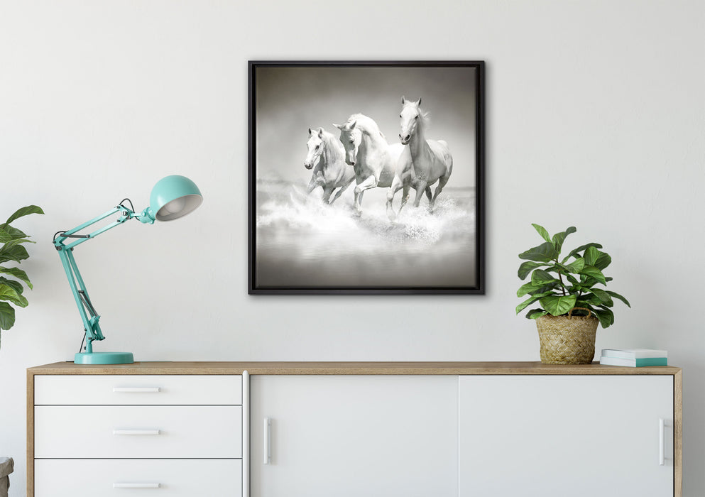 Pferde rennen im Wasser auf Leinwandbild gerahmt Quadratisch verschiedene Größen im Wohnzimmer