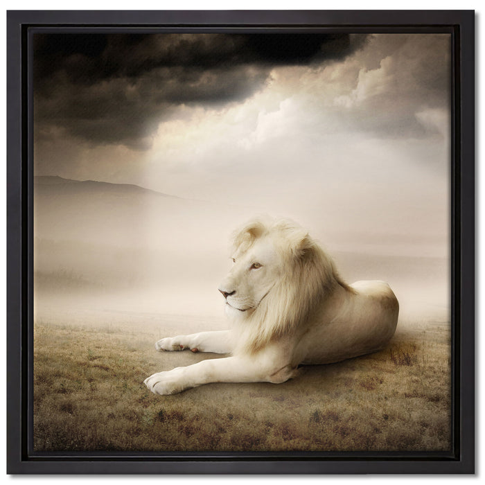 Stolzer weißer Löwenkönig auf Leinwandbild Quadratisch gerahmt Größe 40x40