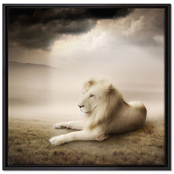 Stolzer weißer Löwenkönig auf Leinwandbild Quadratisch gerahmt Größe 70x70