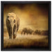 Prächtiger Elefanten in Steppe auf Leinwandbild Quadratisch gerahmt Größe 40x40
