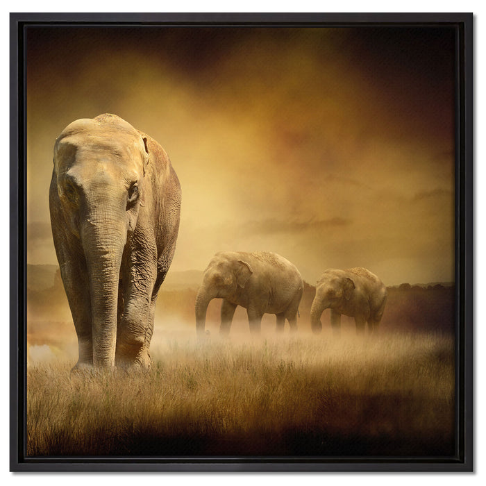 Prächtiger Elefanten in Steppe auf Leinwandbild Quadratisch gerahmt Größe 60x60