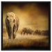 Prächtiger Elefanten in Steppe auf Leinwandbild Quadratisch gerahmt Größe 60x60
