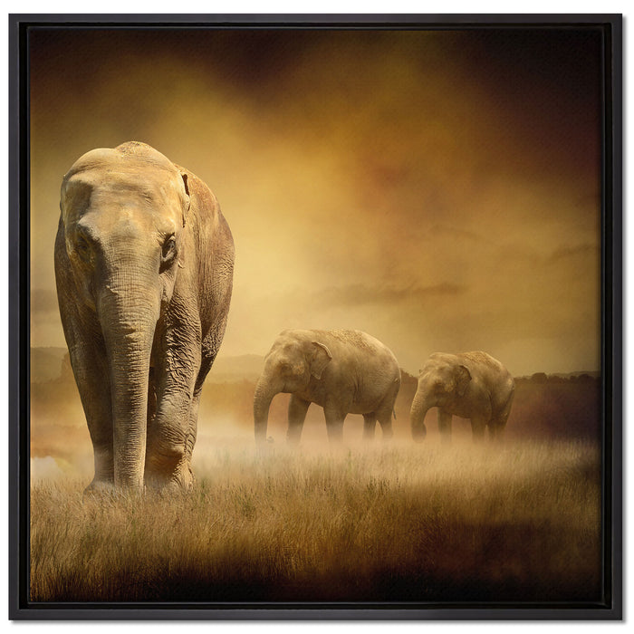 Prächtiger Elefanten in Steppe auf Leinwandbild Quadratisch gerahmt Größe 70x70