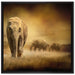 Prächtiger Elefanten in Steppe auf Leinwandbild Quadratisch gerahmt Größe 70x70